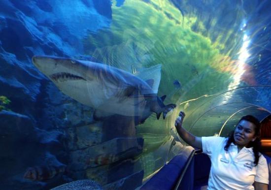 Grootste aquarium van Europa in Istanbul Grootste aquarium van Europa in Istanbul