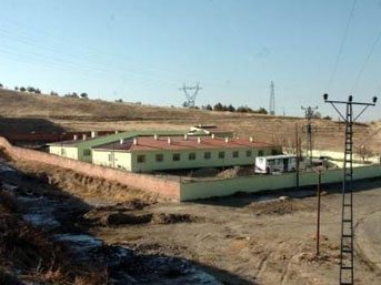 Turks bordeel wordt hondenasiel