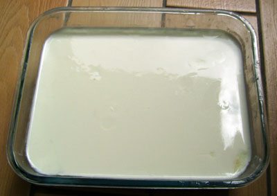 Yoghurt uit Turkije komt Yoghurt uit Turkije komt?