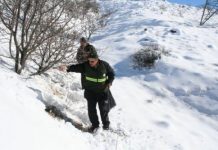 Erzincan schiet wilde dieren te hulp Erzincan schiet wilde dieren te hulp