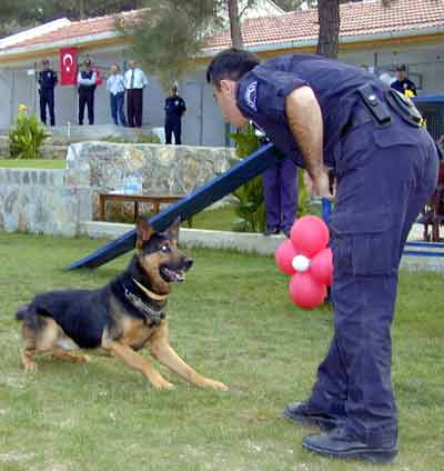 Voortvluchtige terroristen worden opgespoord door honden