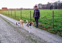 Emine helpt Turkse zwerfhonden Emine helpt Turkse zwerfhonden