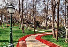 Istanbul gaat enorme botanische tuin aanleggen