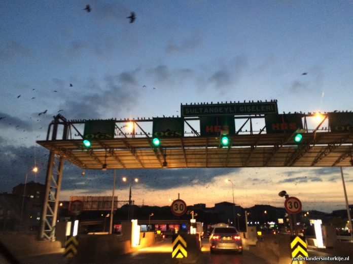 tolweg hgs ogs gecis