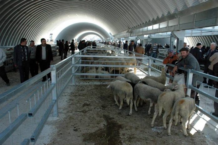 Grootste veemarkt klaar voor het offerfeest Grootste veemarkt klaar voor het offerfeest