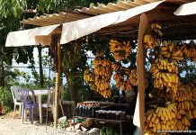 Mersin laat gigantische groei zien in biologische landbouw