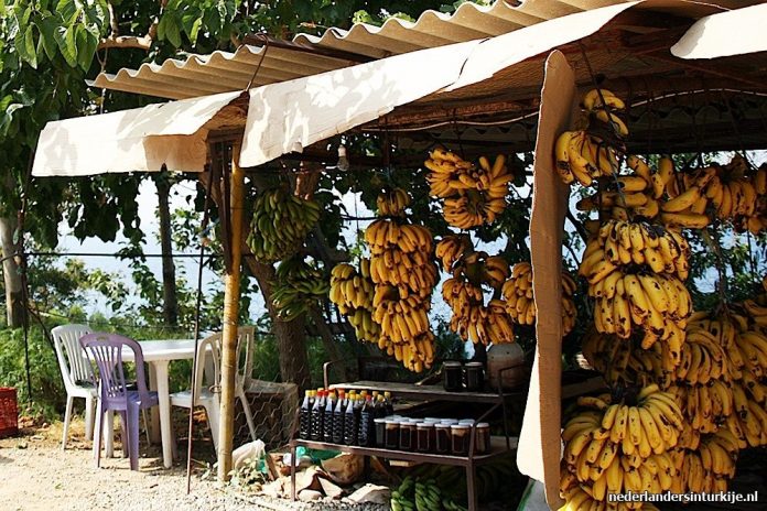 Mersin laat gigantische groei zien in biologische landbouw
