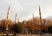 12,4 procent groei van buitenlands toerisme in decembermaand