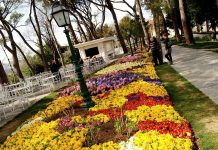 Bloemen en tulpenfestival Istanbul weer van start