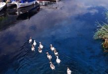 Cittaslow dorpje Akyaka dichter bij Unesco vermelding