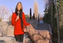 Raki krijgt standbeeld op universiteit Istanbul