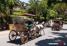 Verbod van paard-en-wagen op Turkse Prinseneilanden Buyukada Fayton