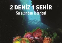 Nieuwe documentaire over onderwaterleven in Istanbul