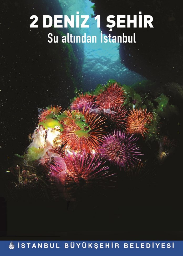 iki deniz bir sehir istanbul